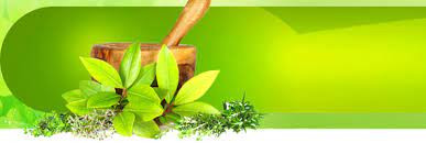 Shakti Aushadhalaya promo